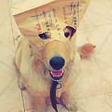 用户5359416940头像