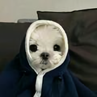 用户6730535363692头像