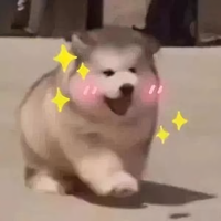 土豆真好恰头像