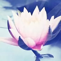 出现非法操作头像