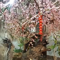 灿烂溪水c4头像