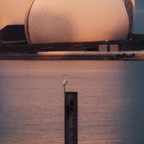 用户2289746348252头像