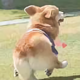 Aaron57894头像
