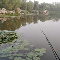 汉草根头像
