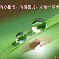 永不放弃的梦411头像