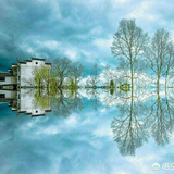 小星星奥头像