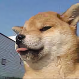 Doubled_头像