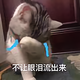 丿铛铛铛头像
