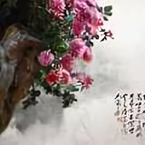 岁月如歌78035头像
