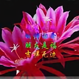 用户8935796356736头像