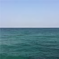 王炀_219484291头像