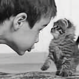 金龙广场小旋风头像