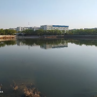莫殇浅离头像