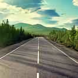 花落无痕231头像