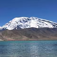 自言自语的老猫头像