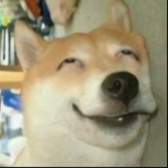 炸天帮__大狗子头像