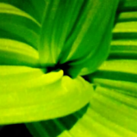 漂亮大美妞子头像