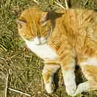 名人堂q流浪头像