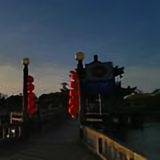 晖下头像