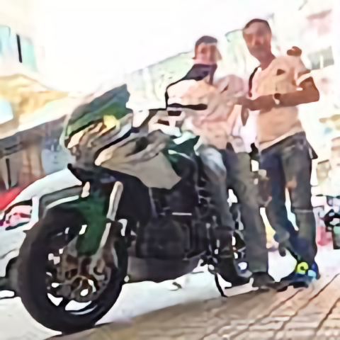 龙庭longting头像