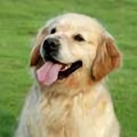 3分清醒7分醉H头像