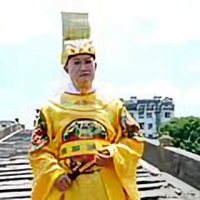 博学多才的花猫2Nx头像