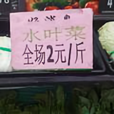 沉静简单点头像