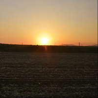 生死相随4053681头像