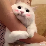 Explanation丶头像