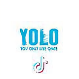 yolo头像