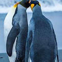 百姓嘞观众头像