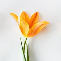 用户105170968788576头像