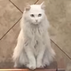 tom128595679头像