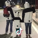 三只小熊猫头像