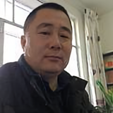 鹰VS头像