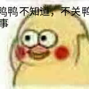 鸭鸭不知道头像