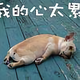 可靠光束GO头像