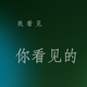 平凡的爱国者号头像
