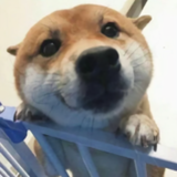 唐hhh头像
