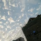 朴实山雀z4h头像