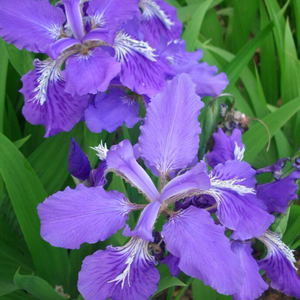 春夏秋冬春608头像