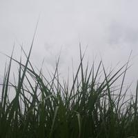 用户2035784801267LON头像