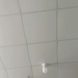 富足海洋Rgc头像