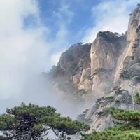 巴山夜雨愁更愁头像