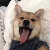 秋冬头像