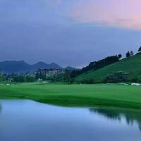 memory36933827头像