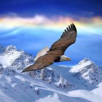 习惯了就好a头像