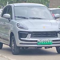 自强不息百灵鸟4S4头像
