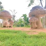 风景搬运师头像
