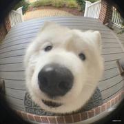 Rewxn的个人资料头像